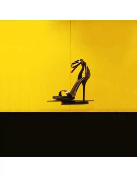 Shoe in magnetic levitation