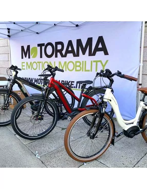 Gazebo with custom wall Gazebo with custom wall