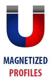 Magnetized Profiles