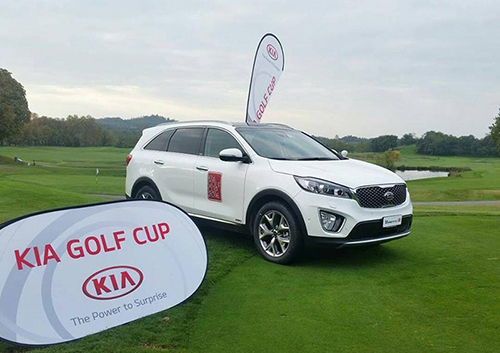 Transenna Flex-o per campi da golf