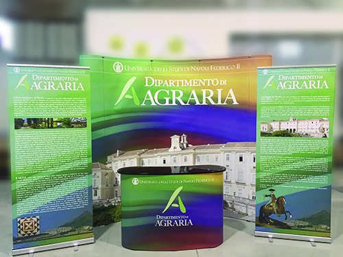 Stand Promozionale